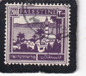 Palestine     #     81     used