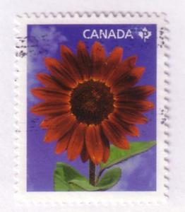 2443 Canada Prado Red Sunflower, used cv $0.65