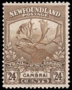 Canadian Provinces- Newfoundland 125 mh