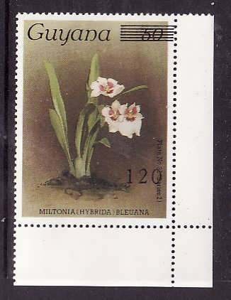 Guyana-Sc#1704- id9-unused NH single-Flowers-Orchids-1986-9-