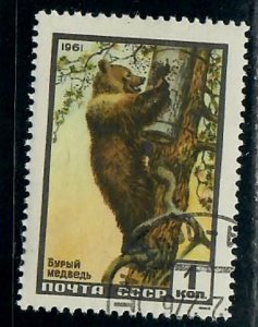 Russia 2429 Brown Bear used single