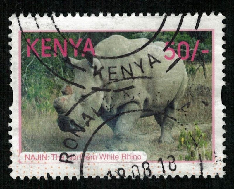 Rhinoceros, 50/- (T-6167)