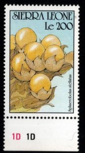 Sierra Leone Scott 1327 MNH** mushroom stamp