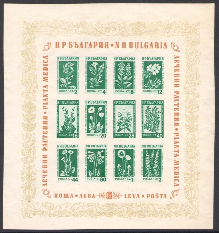 1935 BULGARIA, Flowers and Medicinal Plants - Yvert Sheet #4 - Untoothed 160mm x