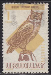 Uruguay 751 Great Horned Owl 1966