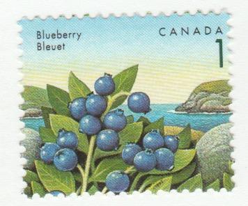 Scott # 1349  Fruit Definitives