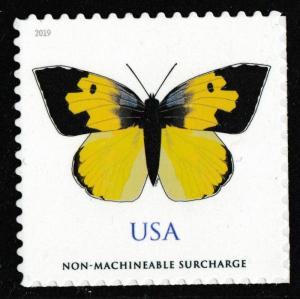 US 5346 California Dogface Butterfly NMS single MNH 2019