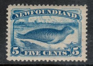Newfoundland #55 Extra Fine Never Hinged **With Certificate**