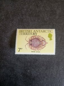 Stamps British Antarctic Territory Scott #108 never hinged