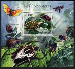 COMORO ISLANDS - 2011 - Beetles - Perf Souv Sheet - MNH - Private Issue