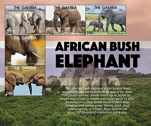 2021/04 - GAMBIA - ELEPHANTS             5V  complet set    MNH ** T