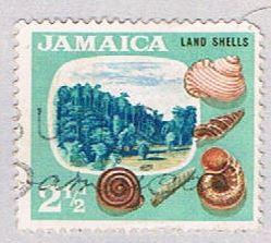 Jamaica 220 Used Land Shells (BP2214)