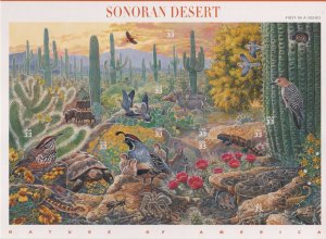 3293 33c Sonoran Desert