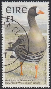 Ireland 1997 used Sc #1040 1pd Greenland White-fronted goose Birds