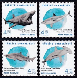 Turkey, Fauna, Fishes, Sharks MNH / 2021