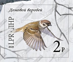 Stamps of  Ukraine ( lokal ) 2020 - Birds