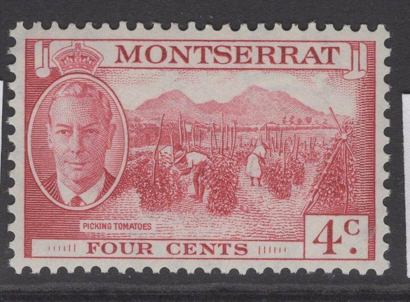 MONTSERRAT SG126 1951 4c CARMINE MNH