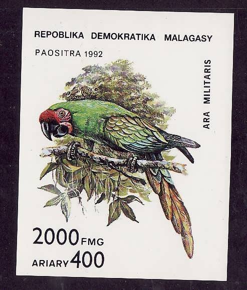 Madagascar Malagasy-Sc#1121-unused NH sheet-Birds-1993-