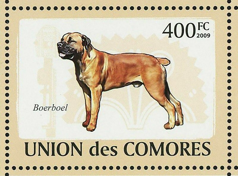 Dogs Stamp Aidi Sloughi Boerboel Basenji Azawakh Africanis S/S MNH #2135-2140 