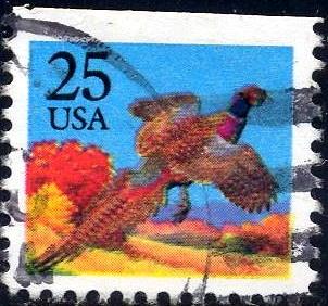 Bird, Pheasants, USA stamp SC#2283 Used