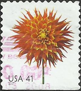 # 4179 USED DAHLIA