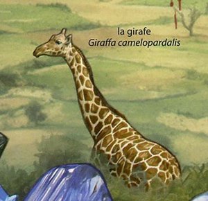 The Great Rift Valley Stamp Giraffe Crystals Tanzanite Gorilla S/S MNH #4231 