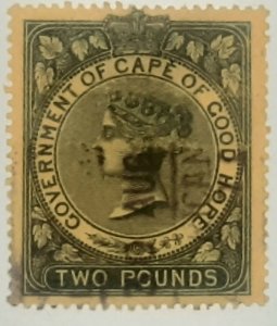 Cape of good hope  revenue 1876  2 pounds