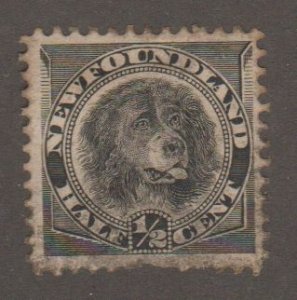 Newfoundland - Scott# 58 - Newfoundland dog