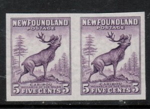Newfoundland #191b Extra Fine Mint Imperf Pair Unused (No Gum)