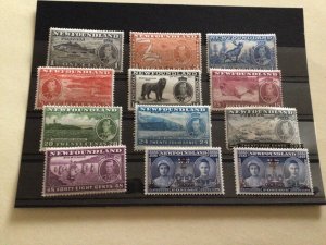 Newfoundland mounted mint stamps  A13221