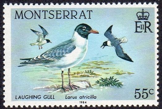 Montserrat 530 - Mint-NH - 55c Laughing Gulls (1984) (cv $1.20)