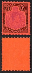 Leeward Is SG114c One Pound Perf 13 Violet and Black/Scarlet U/M Cat 30 pounds