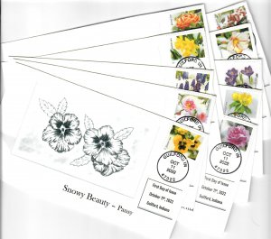Scott # 5727 - 5736 - FDC - Snowy Beauty - Bullseye - Guilford, IN