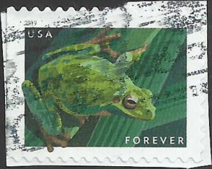 # 5395 Used Pacific Tree Frog