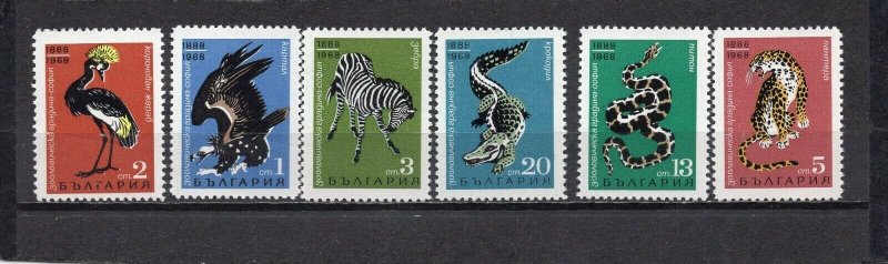 BULGARIA 1968 WILD ANIMALS/SOFIA ZOO SET OF 6 STAMPS MNH