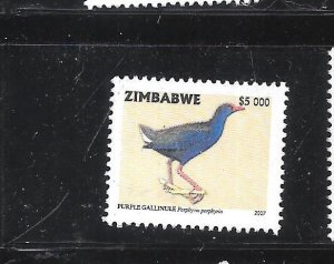 ZIMBABWE SC# 977 2005  $5000 BIRD  DEFINITIVE POSTALLY USED XF RECENT  STAMP