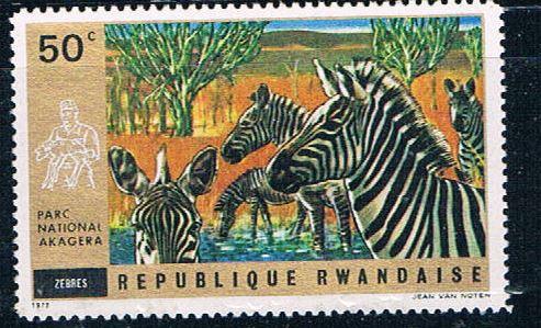 Rwanda 446 Unused Zebras (R0358)+