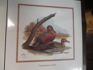 1985 Duck Stamp Panel Hand Signed By Don Balke #290/1000 & RW52 Stamp (BD22)