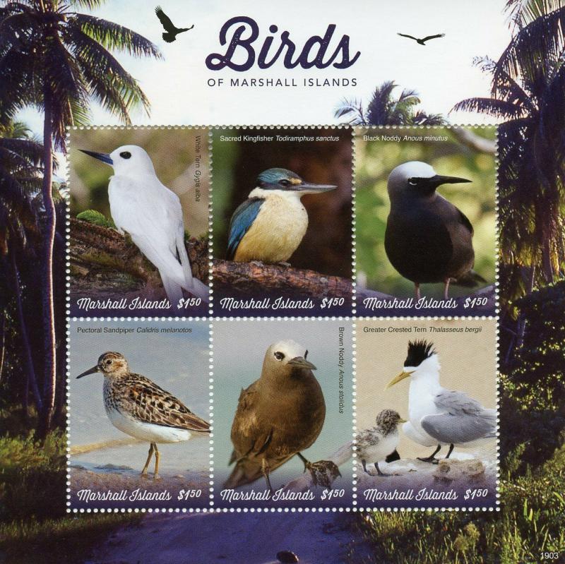 Marshall Islands 2019 MNH Birds Noddy Terns Kingfishers 6v M/S Waders Stamps