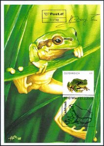 2008 Austria Nature, Tree Frog, Self-Adhesives, Artist signed FDC Maxi Card! 