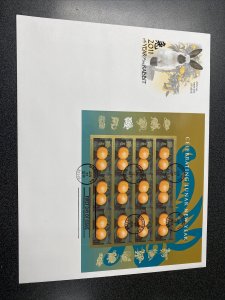 FDC 4492 Lunar Year Of The Rabbit First Day Of Issue 2011 On ArtCraft Cover