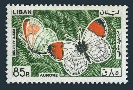Lebanon C432,MNH.Michel 905. Butterfly Aurore,1965.
