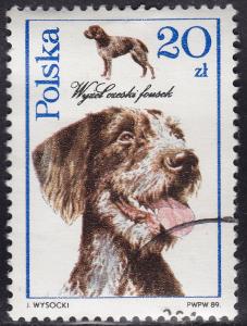 Poland 2902 Dogs Czech Fousek Pointer 1989