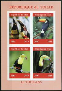 Chad 2019 MNH Toucans Toucan 4v IMPF M/S Bird Birds Stamps