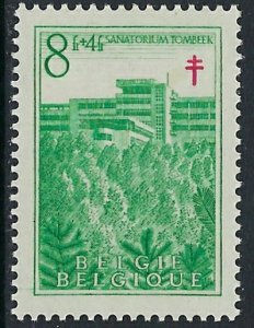 Belgium B491 MH 1950 issue (ak3365)