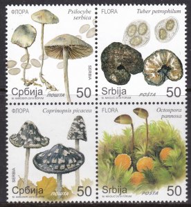 Serbia, Mushrooms / MNH / 2019