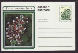 South Africa Flower  Postal Card Unused 