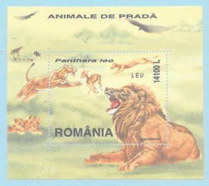 ROMANIA Sc 4414 NH SOUVENIR SHEET OF 2000 - ANIMALS - LIONS