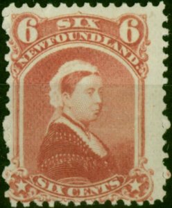 Newfoundland 1870 6c Rose SG39 Fine & Fresh LMM