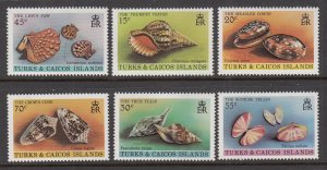 Turks and Caicos 434-439 Seashells MNH VF